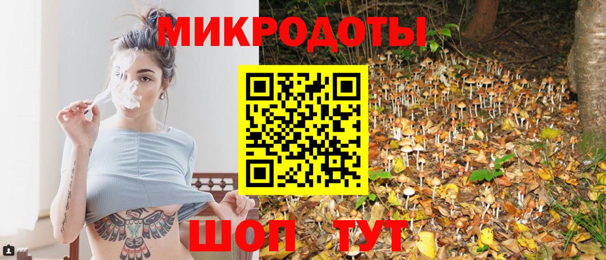 Псилоцибиновые грибы Cubensis Азнакаево